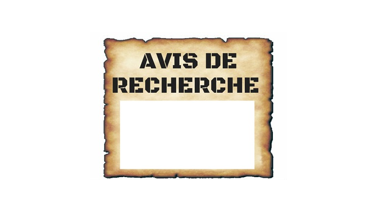 Avis De Recherche Association De Balle Molle Mineure La Presqu Ile