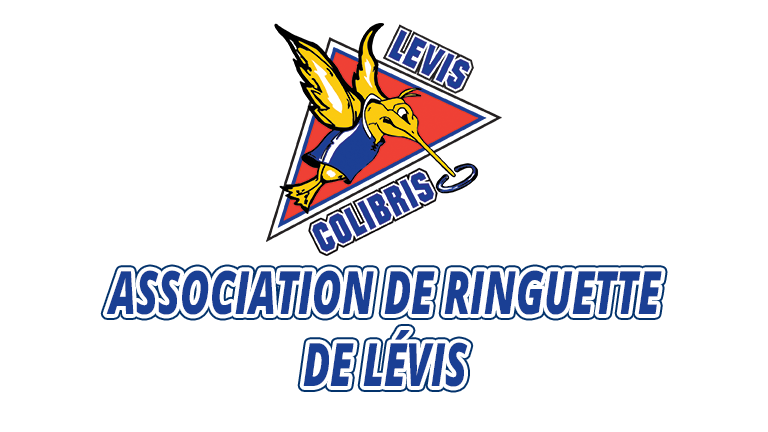 Recherche Candidature Pour Responsable Site Internet - 