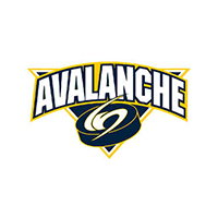 North Jersey Avalanche