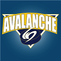 north jersey avalanche